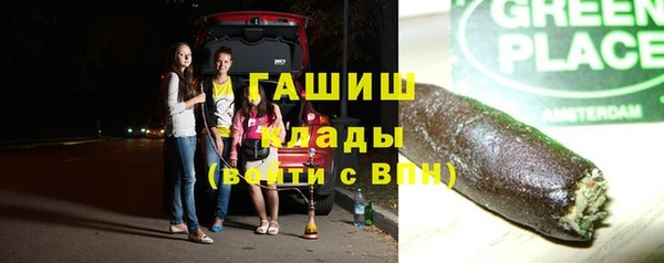 ALPHA PVP Инсар