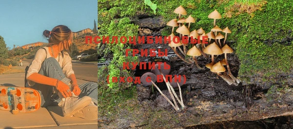 Альфа ПВП Инта