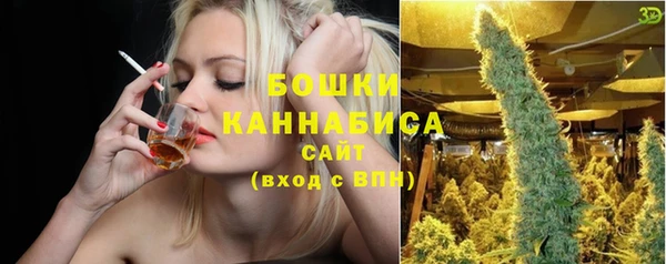 ALPHA PVP Инсар