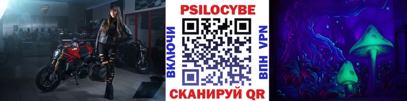 Псилоцибиновые грибы Cubensis наркота Куса